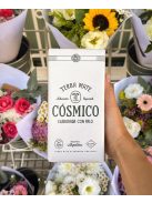 Cósmico Seleccion Especial - "Az újhullám" [Argentína]