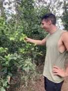 Piporé - Sublime - "Lágyabb Maté" - [Argentína]