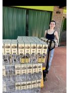 Królowa - Suave "A Tanya Királynője" [Argentína]