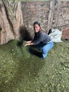 Selva Mate - "Erdőmentő matéval mented a yerba erdőt  [Argentína]