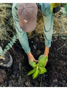 Fronteras Lata - Menta y Lavanda "Mentás-levendulás különlegesség fém yerberában" [Argentína]