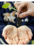 Fronteras Lata - Menta y Lavanda "Mentás-levendulás különlegesség fém yerberában" [Argentína]