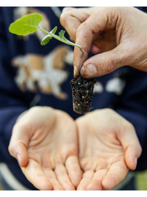 Fronteras Lata - Menta y Lavanda "Mentás-levendulás különlegesség fém yerberában" [Argentína]