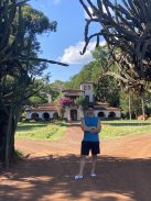 La Merced - Campo Sur "Lágyabb és selymesebb natúr Maté" [Argentína]