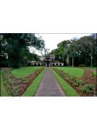 La Merced - Campo Sur "Lágyabb és selymesebb natúr Maté" [Argentína]