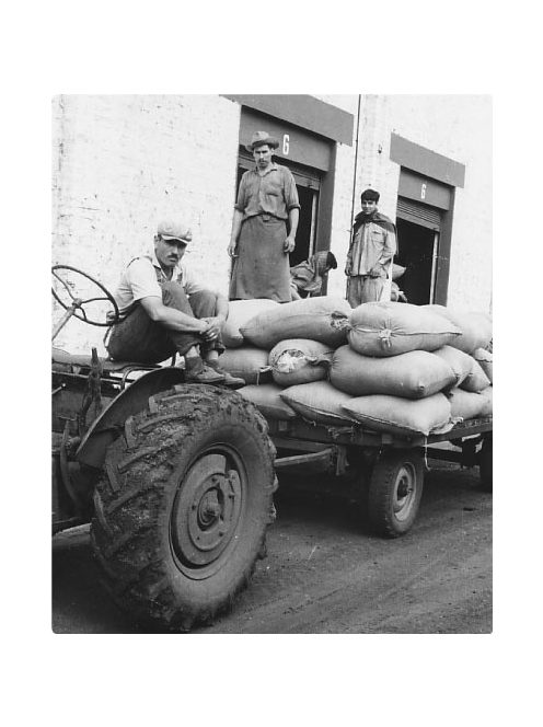 La Merced - Campo Sur "Lágyabb és selymesebb natúr Maté" [Argentína]