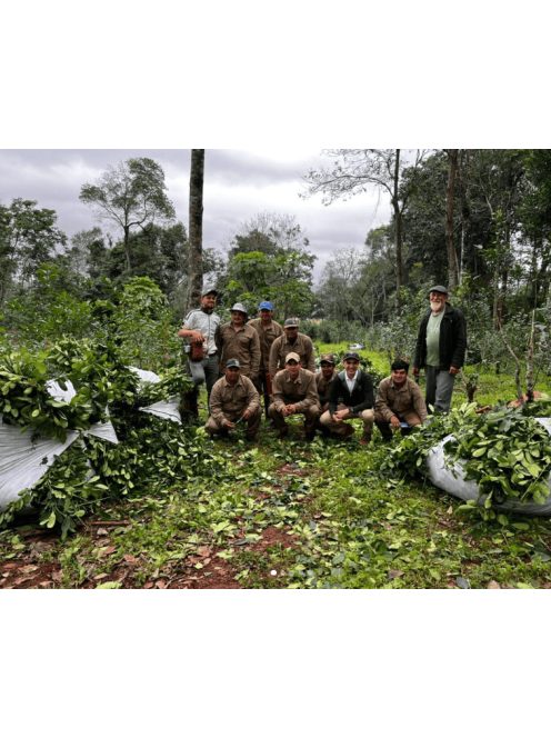 Oñoirũ  - "Klasszikusan Intenzív - by Matero Géza" [Paraguay]