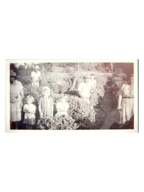 Don Basilio Suave - "Életem eddigi legjobb yerbájának lágy verziója!" [Argentína]