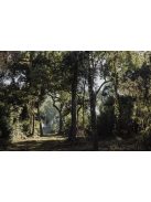 Aky Bajo Monte- "Tiszta Hegyi Yerba" [Argentína]