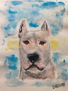 ELKELT Dogo Argentino by Caro