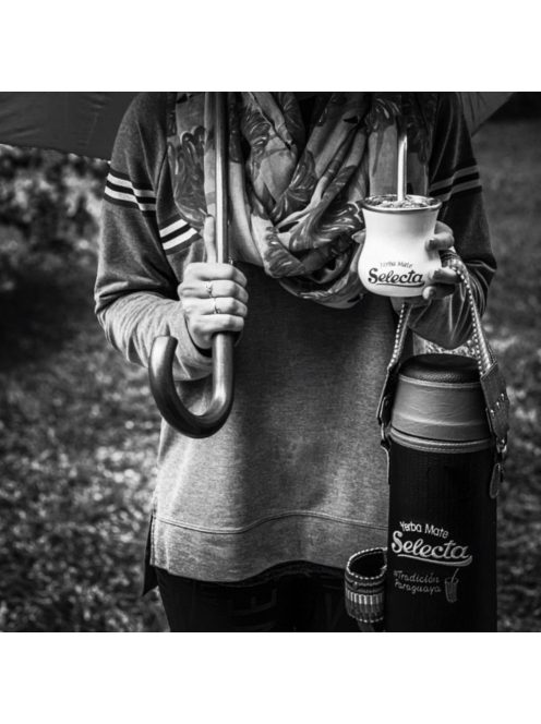 Selecta Jengibre, Limon y Miel -  "Gyömbér, Citrom és Méz" [Paraguay]