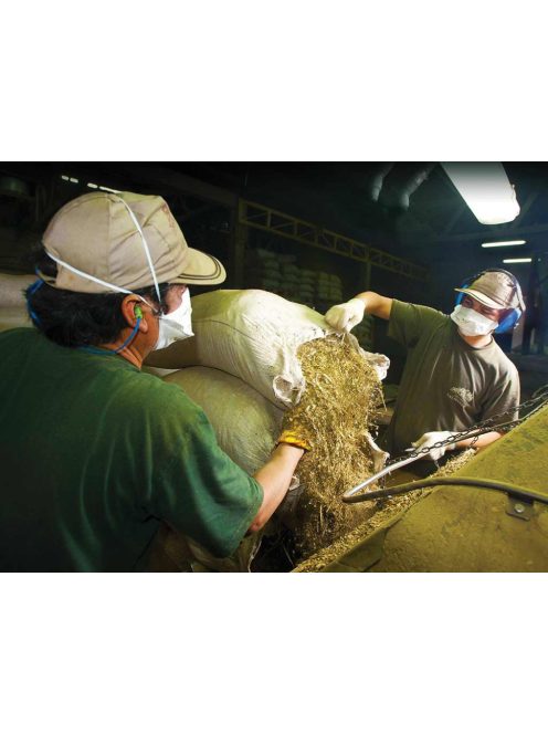 Taragüi - Sin Palo "Top Argentin Löket" [Argentína]