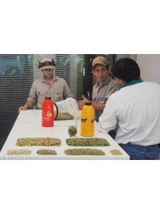   Taragüi - Con Palo "Argentína legelterjedtebb matéja" [Argentína]