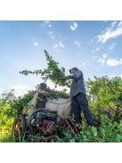 Selecta Maracuya -  "Passion Fruit - Maracujás yerba" [Paraguay]