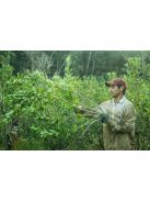 Arapeguá Con Palo Biodinámico - "Biodinamikus Yerba" [Argentína]