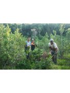 Arapeguá Con Palo Biodinámico - "Biodinamikus Yerba" [Argentína]