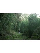 Arapeguá Con Palo Biodinámico - "Biodinamikus Yerba" [Argentína]