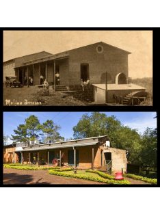 Amanda Suave - "No kaja csak maté" [Argentína]