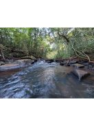 Atiguá Orgánica - "2025 legjobb szakértői yerbája" " [Argentína]