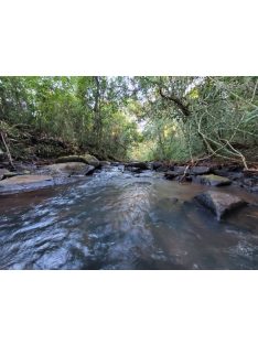   Atiguá Orgánica - "2025 legjobb szakértői yerbája" " [Argentína]