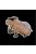 Capybara-Carpincho matrica