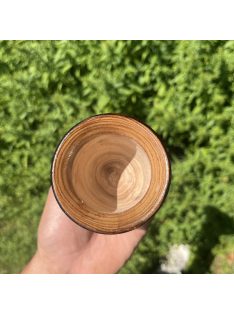 Világos Algarrobo Fa Mate