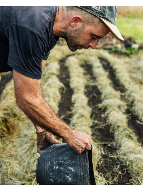 Fronteras Lata - Manzanilla y Naranja "Kamillás-narancsos különlegesség fém yerberában" [Argentína]