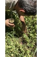 Tucanguá - "2 litert simán meg tudok belőle inni" [Argentína]