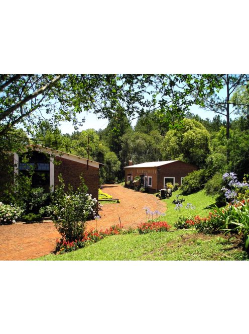 Amanda Orgánica - "A legjobb barátom kedvenc yerbája" [Argentína]