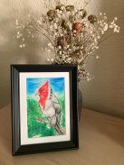 Pajaros Argentinos (Cardenal / Tero) by Caro