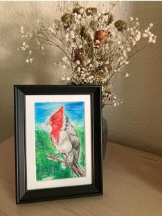 Pajaros Argentinos (Cardenal / Tero) by Caro