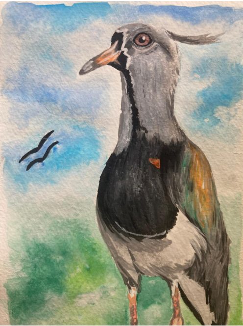 Pajaros Argentinos (Cardenal / Tero) by Caro