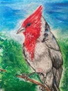 Pajaros Argentinos (Cardenal / Tero) by Caro