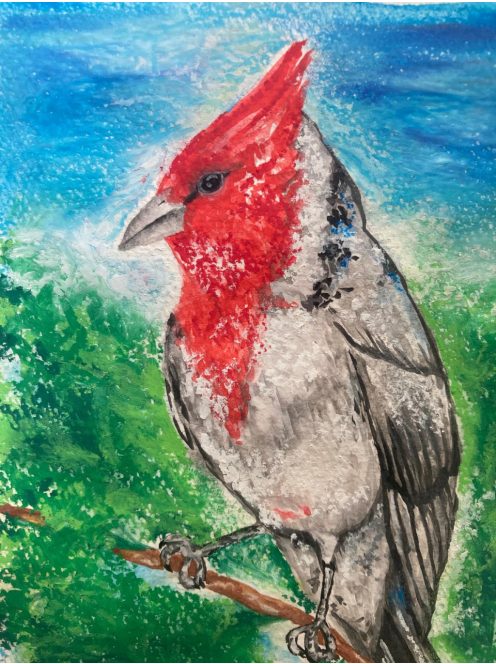 Pajaros Argentinos (Cardenal / Tero) by Caro
