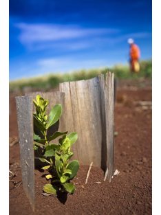   Unión Liviana Suave - "A szerény, egyszerű emberek yerbája" [Argentína]