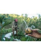 Arapeguá Canchada Biodinámico - "Biodinamikus Yerba" [Argentína]