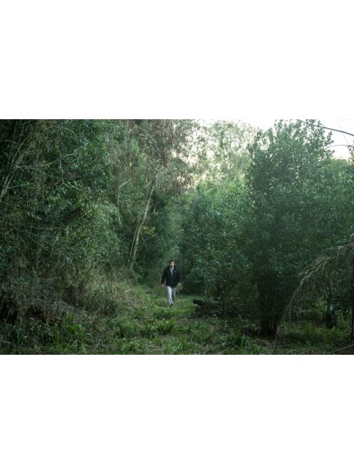 Arapeguá Canchada Biodinámico - "Biodinamikus Yerba" [Argentína]
